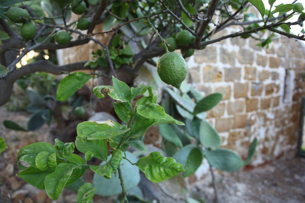 Villa Del Saraceno 雷阿尔蒙特 外观 照片